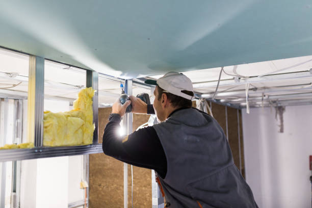 Types of Insulation We Offer in New Port Richey East, FL