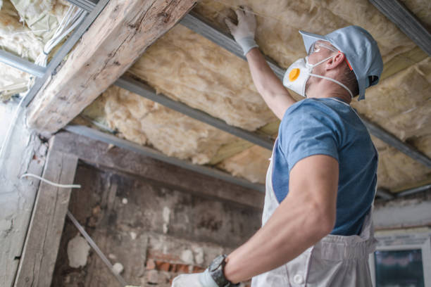 Best Fiberglass Insulation in New Port Richey East, FL