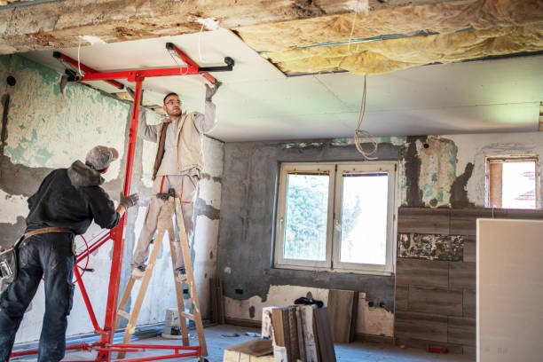 Best Geographic-Specific Insulation Services in New Port Richey East, FL