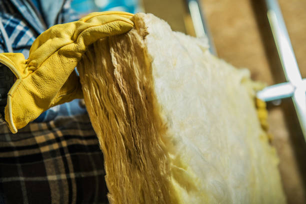 Best Specialized Insulation Services in New Port Richey East, FL