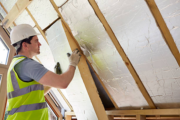 Best Eco-Friendly Insulation in New Port Richey East, FL
