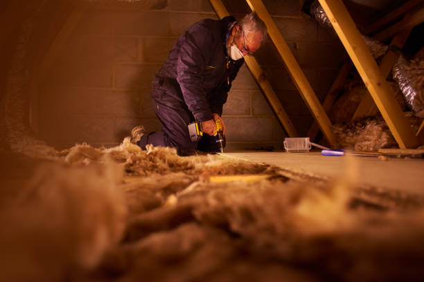 Trusted New Port Richey East, FL Insulation Contractor Experts